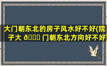 大门朝东北的房子风水好不好(院子大 🐕 门朝东北方向好不好)